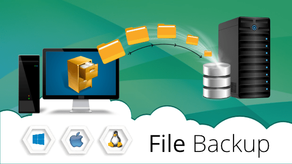 Backup Files